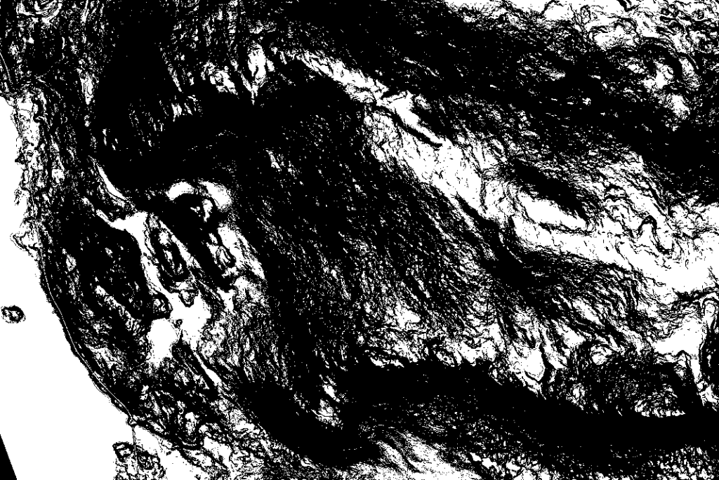 raster calculator
